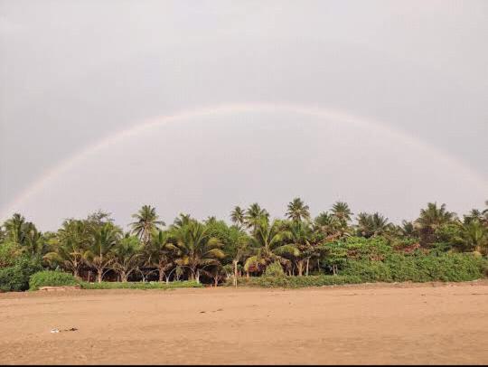 Ocean Sparrow Beach Stay Гокарна Номер фото